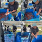 加知養鯉場イベント