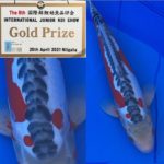 The 8th International Junior Koi show 2021 on 24-25 April