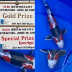 The 8th International Junior Koi show 2021 on 24-25 April