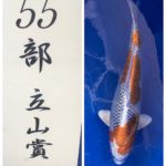 2021年5月9日 第16回富山県錦鯉若鯉品評会
