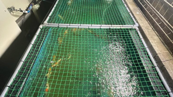 一週間の断水、週末から新潟に避難