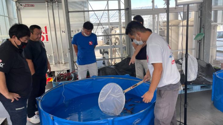 2021年10月6日 成田養魚園株式会社様 第12回飼育コンテスト〜The 眼力」品評会