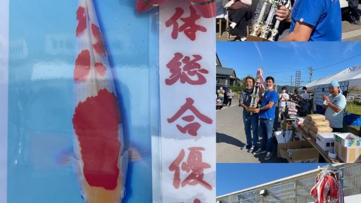 Kachi koi farm grow up event  at Fukui prefecture
