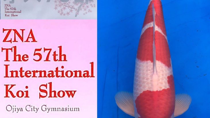 57thZNA International Koi Show 2021