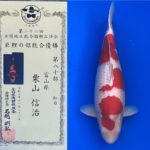 22th Hokuriku district Koi show