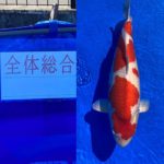 2021年11月7日 第14回九鱗会長崎県品評会
