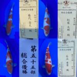 2021年12月4,5日 第49回関東甲信錦鯉品評会