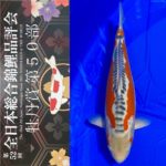 牡丹賞Botan prize