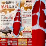 2022年3月25日 第38回  錦鯉全国若鯉品評会 設営 搬入中