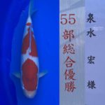 2022年4月9日ー10日 第13回千葉県若鯉品評会