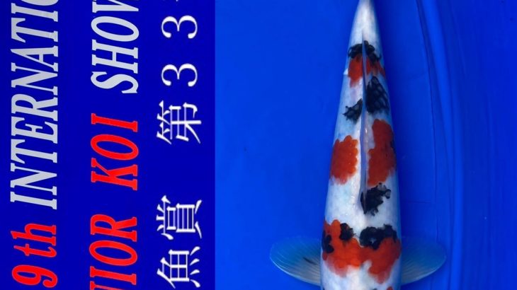 2022年4月23-24日 第9回国際幼魚品評会
