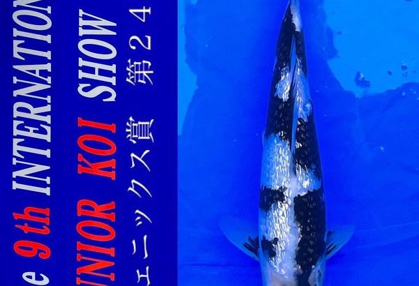 2022年4月23-24日 第9回国際幼魚品評会