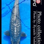 Oyama Fish Farm