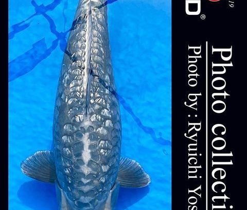 Oyama Fish Farm