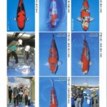 ZNA The 57th International Koi Show 2021