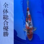 第23回飼育コンテスト