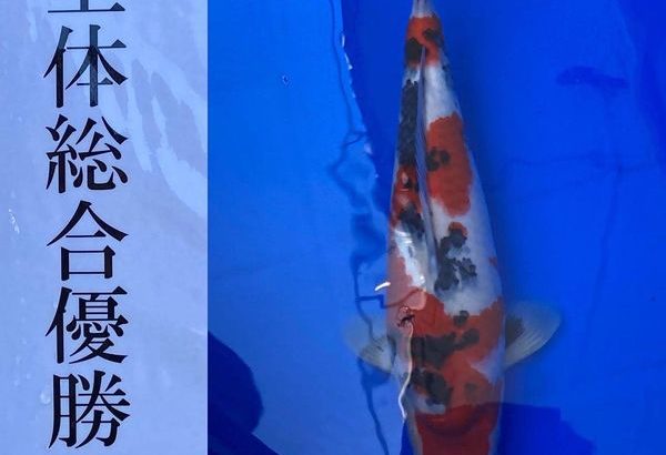 第23回飼育コンテスト