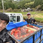 Nishikigoi Murakami Harvest visit