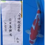 岩間木幼魚品評会