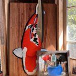 Koi Store visit in Atlanta USA