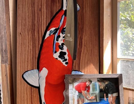 Koi Store visit in Atlanta USA