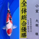 2024年4月6日、7日 第15回千葉県若鯉品評会