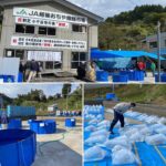 JA Ojiya Koi Show 15-October 2020