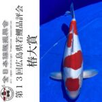 2022年4月17日 第13回広島県若鯉品評会