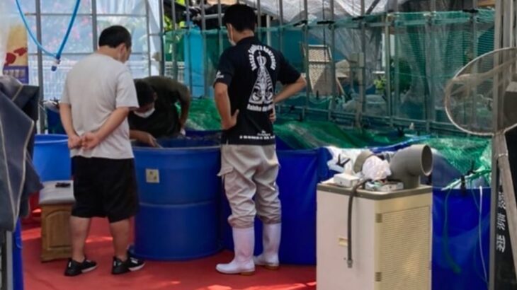 2022年9月11日 魚酔の売り出し