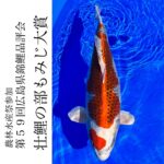 第59回 広島県錦鯉品評会