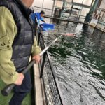 Miyoshi Koi Farm.Ehime prefecture.