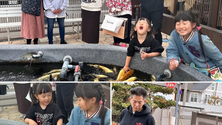 Narita koi farms Japan visit .