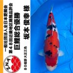 第48回近畿地区錦鯉品評会