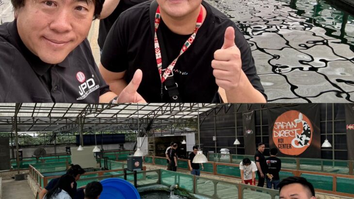Nusatic koi show 2024