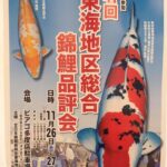 2016東海地区総合錦鯉品評大会