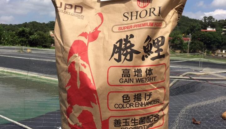 2014大正三色68公分，勝鯉飼料使用成果。