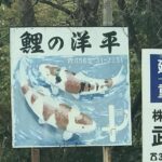 Koi no Yohei visit.