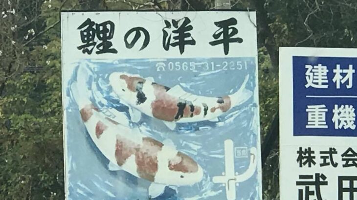Koi no Yohei visit.