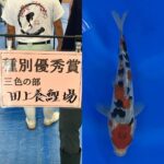 2024年9月7日 第16回 田上がり品評会