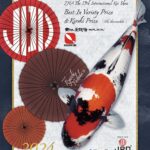 My personal koi 59th ZNA International Koi Show 2023