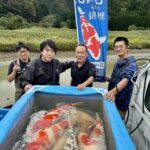 2024Nishikigoi Murakami mud pond harvest