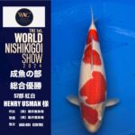 THE 1st. WORLD NISHIKIGOI SHOW 2024 ⑤