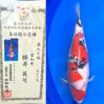 第25回 北陸地区総合錦鯉品評会