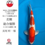 全日本愛鱗会三重県支部第47回錦鯉品評会 2024年11月10日
