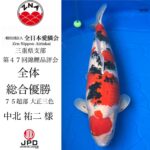 全日本愛鱗会三重県支部第47回錦鯉品評会 2024年11月10日
