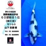 60th Anniversary ZNA International Koi Show In Lake Biwa Museum ⑥
