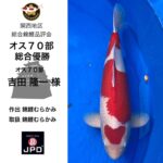 関西地区総合錦鯉品評会2024
