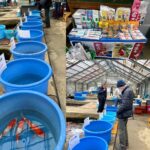 本日錦鯉むらかみ年内最後の売り出しです！