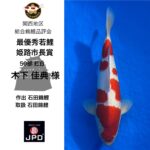 Kansai District Koishow2024 ②