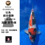 関西地区総合錦鯉品評会2024